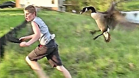 MAN AND BEAST - Part 36