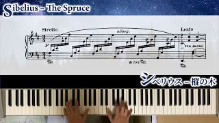 シベリウス - 樅の木 op.75-5 / Sibelius - The Spruce op.75-5