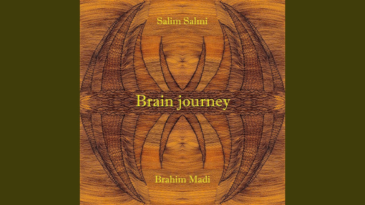 Brain Journey