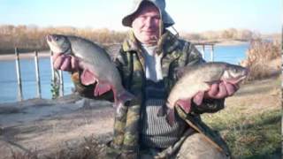 Давай дружок поедем на рыбалку. Песня