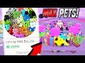 BUYING THE INFINITE PET GAMEPASS IN PET SIMULATOR *40k ROBUX* (Roblox)