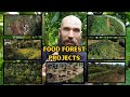 Secrets to being a food forest designer