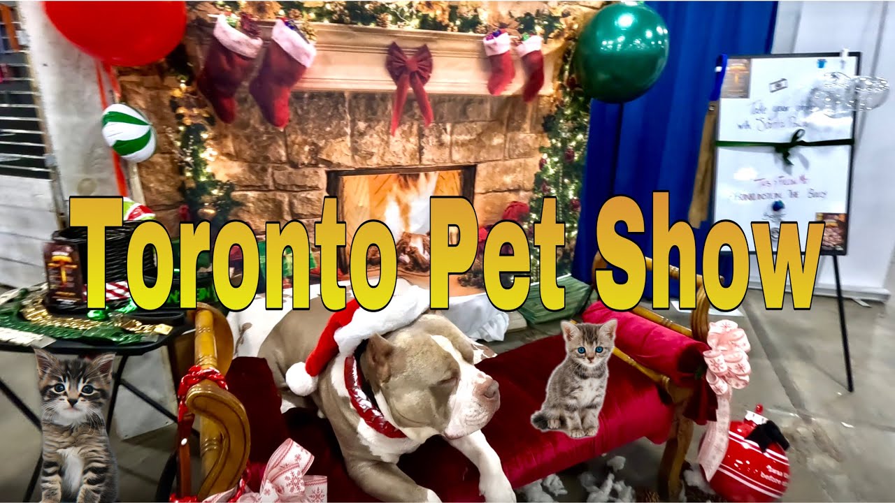 City Of Toronto Pet Friendly Guidelines City Of Toronto Pet Friendly Guidelines