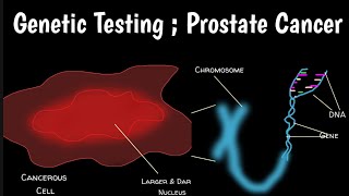 Genetic Testing For Prostate Cancer | Germline Genetic Test | Somatic Testing |