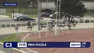 Vidéo de la course PMU PRIX PUCELE