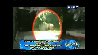 On The Spot - 7 Kematian Mengenaskan Karena Hewan Buas