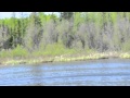 Kenro Fish Camp, Lake Oskikebuk, Saskatchewan, Canada 2012