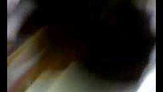 LDRM-IV DIGNITY-SY:2007-2008.Playii