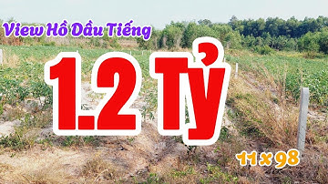 Đất Dầu Tiếng | Bán nhanh View Hồ dầu Tiếng 11 x 98 Giá rẽ nhất khu #631