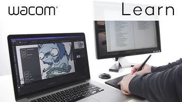 Using Dual Displays with Wacom Intuos Pro