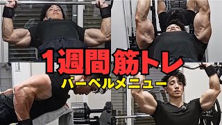 【1週間メニュー】筋肉をデカくする分割法とバーベルメニューを全て公開します