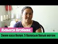 Кызылгул Бугубаева: "Эжем каза болуп калып 5 баласын багып жатам" | Эже жардамга муктаж