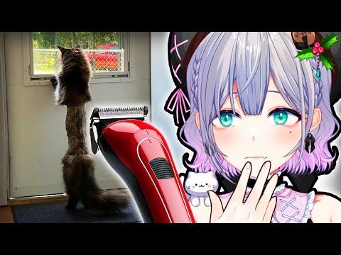 Shaving My Cats For The First Time...