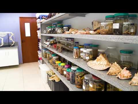 Vídeo: O que é ciência de laboratório médico?