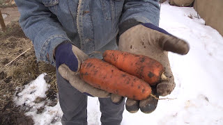 Fall Garden Tips