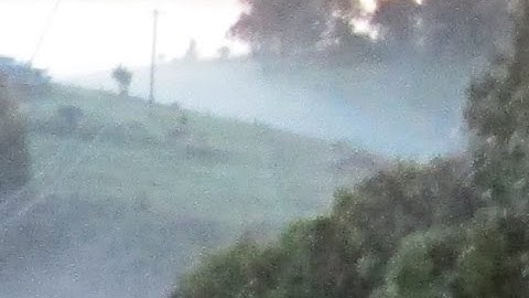 Gaia Theory - Part 1 - Dr Stephan Harding