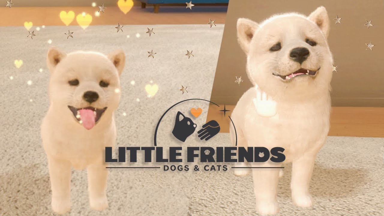 Contest: Little Friends: Dogs & Cats just wants to be pet