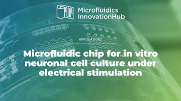 Microfluidic Chip for Neuron Cell Culture and Axon Outgrowth Monitoring