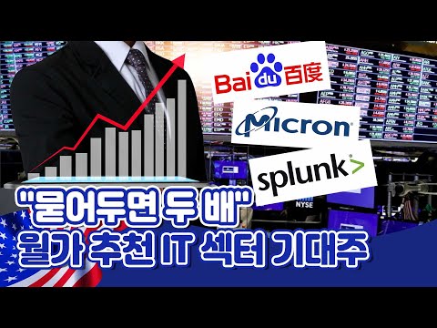[투자직감] &amp;quot;묻어두면 두 배 간다&amp;quot; 월가의 IT 섹터 기대주 3