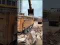 Excavators Load Soil Onto Trucks