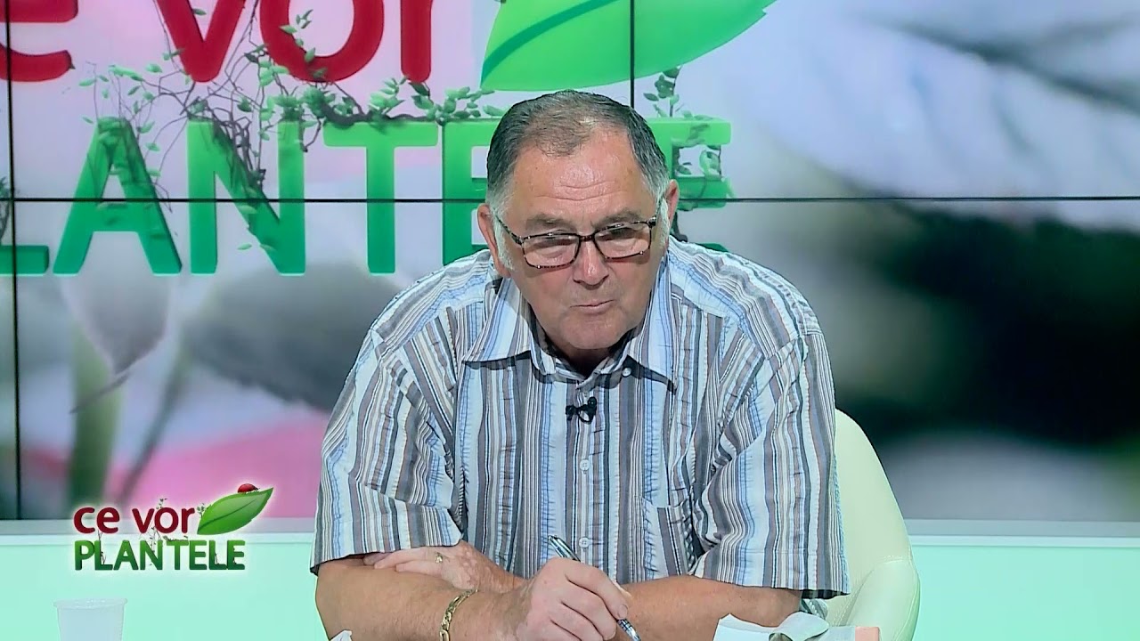 VIDEO Dr. Ing. Horia Ghibu ne învață cum putem proteja vița de vie de insecte 1 VIDEO Dr. Ing. Horia Ghibu ne învață cum putem proteja vița de vie de insecte YouTube player