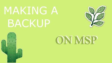 Making a Backup Account on MSP! | WAY
