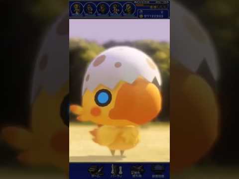FFRK WOFFコラボ 異次元の扉 幻想世界グリモワル ［初級］ミズハナの林 ヒナチョコボ
