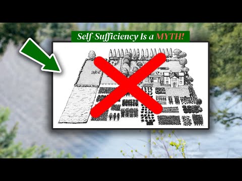 The Self-sufficiency Myth No One Talks About