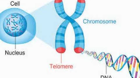 BIOINFORMATICS LECTURE 2