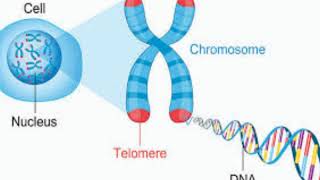 BIOINFORMATICS LECTURE 2