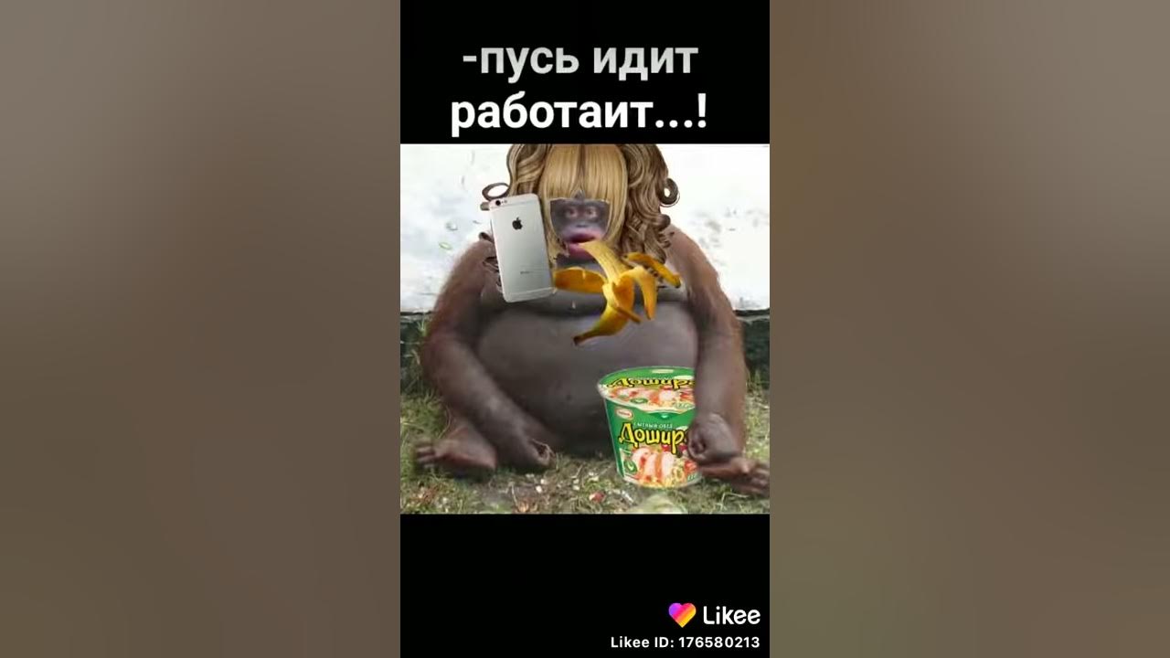 Абезяна - YouTube