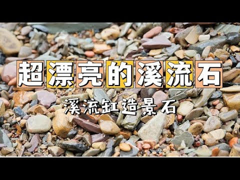 想要开溪流缸，购买两家溪流石对比下，你更喜欢哪一家？