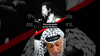 #short #BlackPanther Eldridge Cleaver learned the truth about #Israel