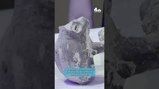 Famous NON-HUMAN REMAINS FOUND IN MEXICO #shorts Net Worth