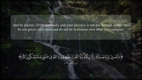 عبد الله الموسى (وَٱصۡبِرۡ وَمَا صَبۡرُكَ إِلَّا بِٱللَّهِۚ )[سورة النحل 127]