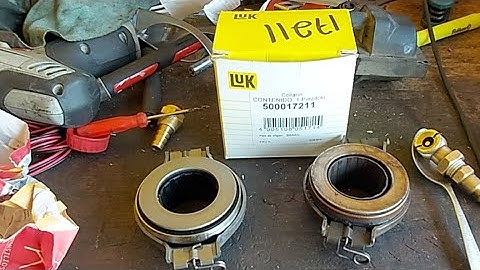 Collarin Pointer Se Daño No Entran Cambios