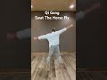 Qi Gong: Swat The Horse Fly #qigong #qigongpractice #energyflow #taichi #dailypractice