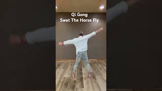 Qi Gong: Swat The Horse Fly #qigong #qigongpractice #energyflow #taichi #dailypractice