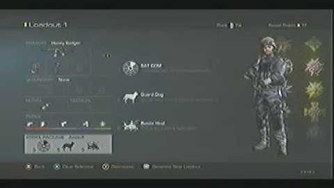 HoneyBadger Best Class Setup (COD Ghosts)