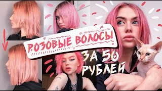 МОИ ВОЛОСЫ. Розовые волосы дома за 50 рублей