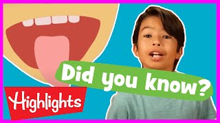 Educational Videos For Kids 2020 Fun Learning Videos For Kids Did You Know? Highlights Kids