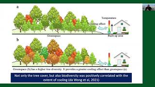 Planning and Managing Green Cities for Human Health and Well-Being - Francesco Ferrini