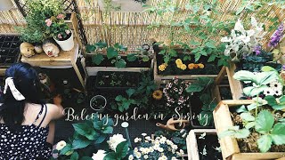 My 2m2 balcony garden in Spring (from End March to mid May) | Gardening for beginner 🍅🌱🍓