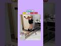 남편들이 아내에게 맞은 이유 남편들이 아내에게 맞은 이유