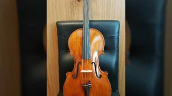 Matteo Mazzotti 2017 italy Viola Amati model ~Test 1 Matteo Mazzotti 2017 italy Viola Amati model ~Test 1