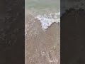 PURI BEACH 🌊🐚#puribeach