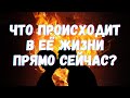 🌷ЧТО ПРОИСХОДИТ В ЕЕ ЖИЗНИ ПРЯМО СЕЙЧАС Гадание| Таро для мужчин🌷