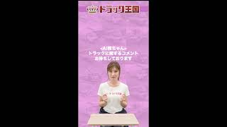 トラックについてなんでも回答！AI熊ちゃんライブ配信！