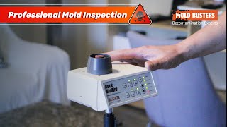 Professional Mold Inspection A to Z ‍  Mold Busters