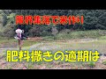 一発肥料撒き適期　＃米作り